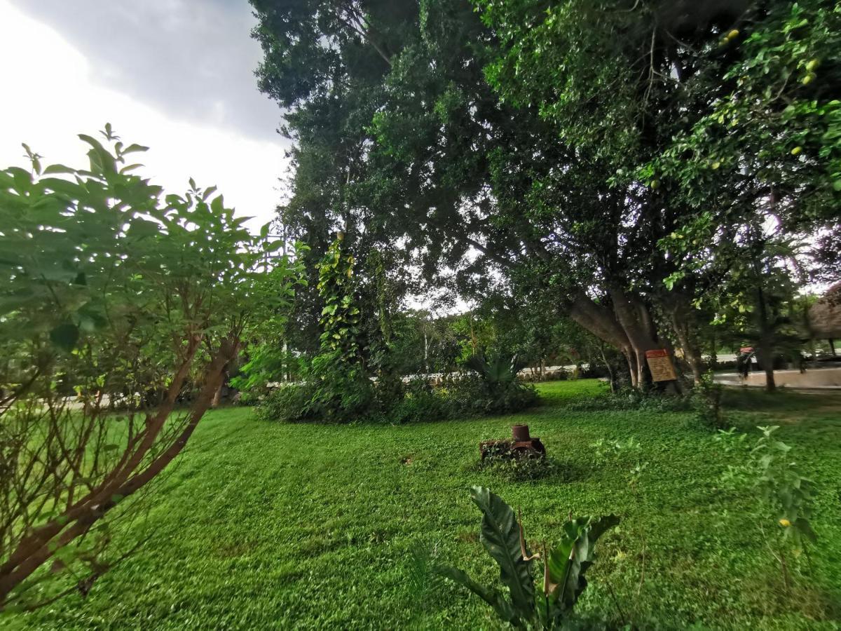 Hotel Doralba Inn Chichen ภายนอก รูปภาพ